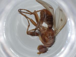  ( - BIOUG61400-F01)  @11 [ ] CreativeCommons - Attribution (2020) Centre for Biodiversity Genomics Centre for Biodiversity Genomics