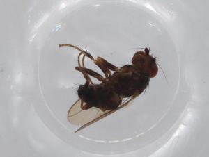  ( - BIOUG71292-D01)  @11 [ ] CreativeCommons - Attribution (2021) Centre for Biodiversity Genomics Centre for Biodiversity Genomics