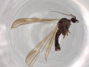  ( - BIOUG72122-H04)  @11 [ ] CreativeCommons - Attribution (2021) Centre for Biodiversity Genomics Centre for Biodiversity Genomics