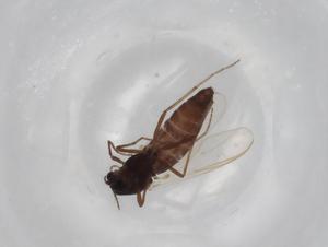  ( - BIOUG73220-D09)  @11 [ ] CreativeCommons - Attribution (2021) Centre for Biodiversity Genomics Centre for Biodiversity Genomics