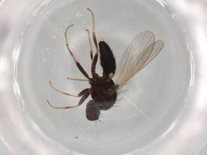  ( - BIOUG73225-F05)  @11 [ ] CreativeCommons - Attribution (2021) Centre for Biodiversity Genomics Centre for Biodiversity Genomics