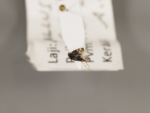  ( - ZMUO.029183)  @11 [ ] CreativeCommons - Attribution Non-Commercial (2018) Marko Mutanen University of Oulu