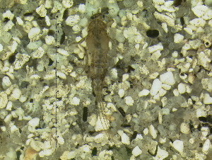  ( - HIEPT-1002)  @12 [ ] Unspecified (default): All Rights Reserved  Unspecified Unspecified