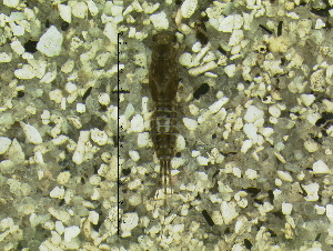  ( - HIEPT-1004)  @12 [ ] Unspecified (default): All Rights Reserved  Unspecified Unspecified