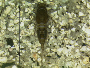  ( - HIEPT-1005)  @12 [ ] Unspecified (default): All Rights Reserved  Unspecified Unspecified