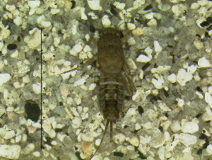  ( - HIEPT-1006)  @12 [ ] Unspecified (default): All Rights Reserved  Unspecified Unspecified