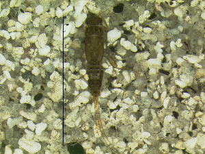  ( - HIEPT-1007)  @12 [ ] Unspecified (default): All Rights Reserved  Unspecified Unspecified