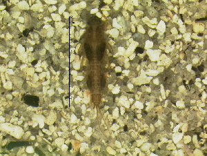  ( - 10HIMXD-0032)  @12 [ ] Unspecified (default): All Rights Reserved  Unspecified Unspecified