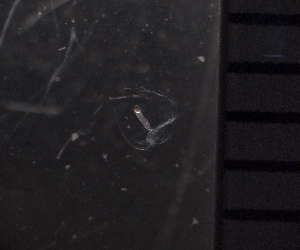  ( - HYDROINS_116)  @11 [ ] Creative Commons Attribution-NonCommercial-ShareAlike (2025) Doris Björling University of Gothenburg