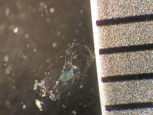  ( - HYDROINS_164)  @11 [ ] CreativeCommons  Attribution Non-Commercial Share-Alike (2025) Doris Björling University of Gothenburg