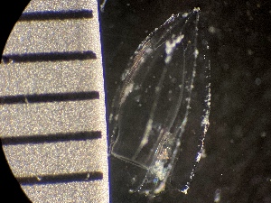  ( - HYDROINS_165)  @11 [ ] CreativeCommons  Attribution Non-Commercial Share-Alike (2025) Doris Björling University of Gothenburg