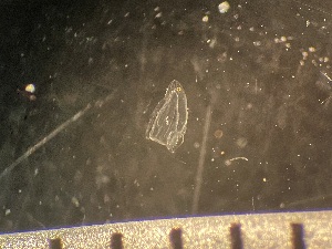  ( - HYDROINS_197)  @11 [ ] CreativeCommons  Attribution Non-Commercial Share-Alike (2025) Doris Björling University of Gothenburg