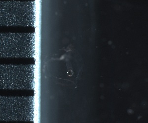  ( - HYDROINS_61)  @11 [ ] Creative Commons Attribution-NonCommercial-ShareAlike (2025) Doris Bjorling University of Gothenburg