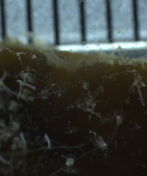  ( - HYDROINS_87)  @11 [ ] Creative Commons Attribution-NonCommercial-ShareAlike (2025) Doris Bjorling University of Gothenburg