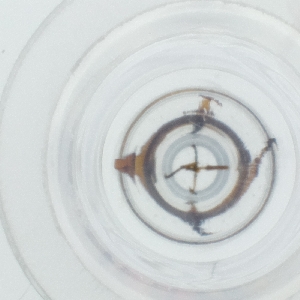  ( - HIRW_045_F8)  @11 [ ] by  Genome Research Ltd as Wellcome Sanger Institute Genome Research Limited operating as Wellcome Sanger Institute