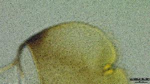  ( - 2023EPH056ECS019_a)  @11 [ ] c  Mathew Seymour The University of Hong Kong