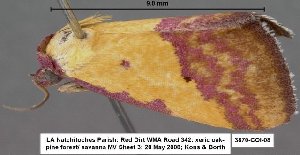  ( - 3870-COI-08)  @13 [ ] Unspecified (default): All Rights Reserved  Unspecified Unspecified