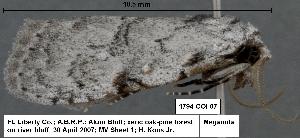  ( - 1794-COI-07)  @12 [ ] Unspecified (default): All Rights Reserved  Unspecified Unspecified