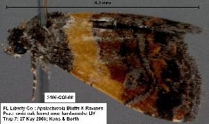  ( - 3106-COI-07)  @12 [ ] Unspecified (default): All Rights Reserved  Unspecified Unspecified