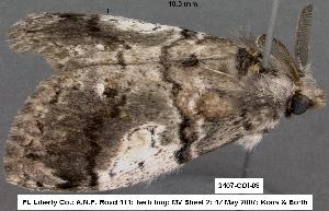  ( - 3407-COI-08)  @12 [ ] Unspecified (default): All Rights Reserved  Unspecified Unspecified