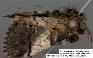  ( - 3452-COI-08)  @12 [ ] Unspecified (default): All Rights Reserved  Unspecified Unspecified