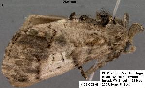  ( - 3453-COI-08)  @12 [ ] Unspecified (default): All Rights Reserved  Unspecified Unspecified
