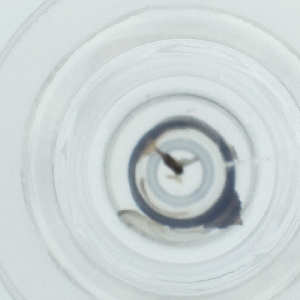  ( - HLNR_005_D5)  @11 [ ] by  Genome Research Ltd as Wellcome Sanger Institute Genome Research Limited operating as Wellcome Sanger Institute