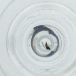  ( - HLNR_005_F6)  @11 [ ] by  Genome Research Ltd as Wellcome Sanger Institute Genome Research Limited operating as Wellcome Sanger Institute