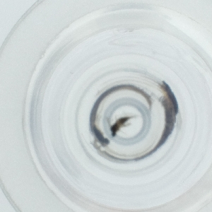  ( - HLNR_005_G7)  @11 [ ] by  Genome Research Ltd as Wellcome Sanger Institute Genome Research Limited operating as Wellcome Sanger Institute