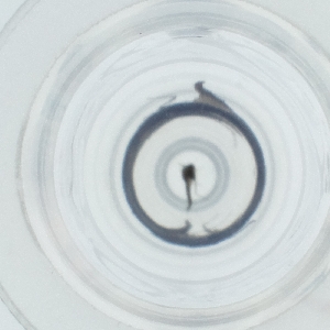  ( - HLNR_007_C9)  @11 [ ] by  Genome Research Ltd as Wellcome Sanger Institute Genome Research Limited operating as Wellcome Sanger Institute