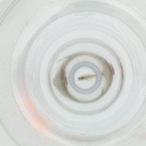  ( - HLNR_007_F11)  @11 [ ] by  Genome Research Ltd as Wellcome Sanger Institute Genome Research Limited operating as Wellcome Sanger Institute