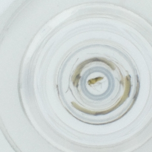  ( - HLNR_022_B7)  @11 [ ] by  Genome Research Ltd as Wellcome Sanger Institute Genome Research Limited operating as Wellcome Sanger Institute