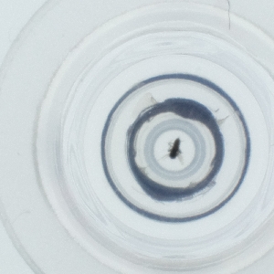  ( - HLNR_022_C9)  @11 [ ] by  Genome Research Ltd as Wellcome Sanger Institute Genome Research Limited operating as Wellcome Sanger Institute