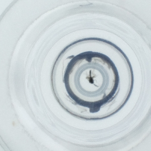  ( - HLNR_023_B2)  @11 [ ] by  Genome Research Ltd as Wellcome Sanger Institute Genome Research Limited operating as Wellcome Sanger Institute