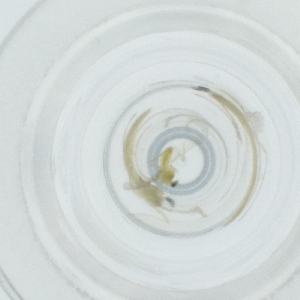  ( - HLNR_023_D2)  @11 [ ] by  Genome Research Ltd as Wellcome Sanger Institute Genome Research Limited operating as Wellcome Sanger Institute