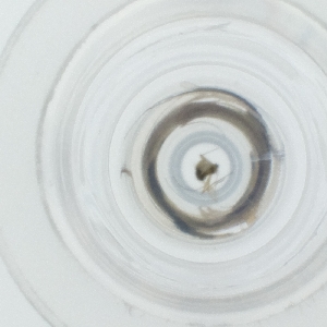  ( - HLNR_032_C4)  @11 [ ] by  Genome Research Ltd as Wellcome Sanger Institute Genome Research Limited operating as Wellcome Sanger Institute