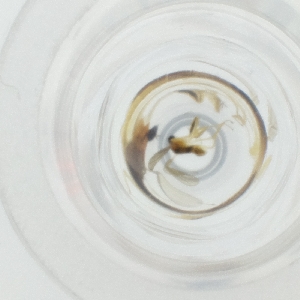  ( - HLNR_032_D11)  @11 [ ] by  Genome Research Ltd as Wellcome Sanger Institute Genome Research Limited operating as Wellcome Sanger Institute