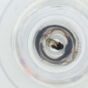  ( - HLNR_034_E10)  @11 [ ] by  Genome Research Ltd as Wellcome Sanger Institute Genome Research Limited operating as Wellcome Sanger Institute