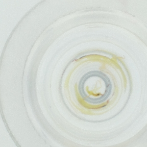  ( - HLNR_035_G4)  @11 [ ] by  Genome Research Ltd as Wellcome Sanger Institute Genome Research Limited operating as Wellcome Sanger Institute