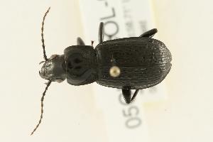  ( - 05CHU-COL-0008)  @13 [ ] Unspecified (default): All Rights Reserved  Unspecified Unspecified
