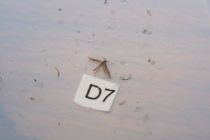  ( - HMCAD0111-43)  @12 [ ] Unspecified (default): All Rights Reserved  none Unspecified
