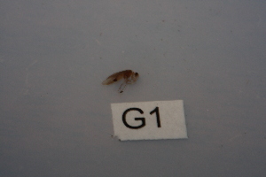  ( - HMCAD0111-73)  @11 [ ] Unspecified (default): All Rights Reserved  none Unspecified