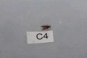  ( - HMCAD0111-123)  @11 [ ] Unspecified (default): All Rights Reserved  none Unspecified