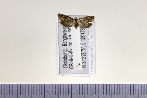  ( - HNU080)  @12 [ ] CreativeCommons - Attribution Share-Alike (2015) Unspecified Seoul National Uiversity