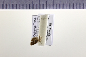  ( - HNU293)  @12 [ ] CreativeCommons - Attribution Share-Alike (2015) Unspecified Seoul National Uiversity