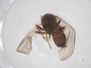  ( - BIOUG07153-C05)  @11 [ ] CreativeCommons - Attribution Share - Alike (2025) Centre for Biodiversity Genomics Centre for Biodiversity Genomics