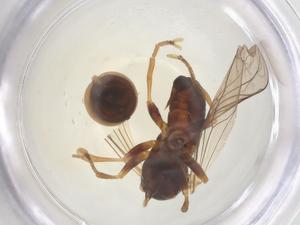  ( - BIOUG07461-E08)  @11 [ ] CreativeCommons - Attribution Share - Alike (2025) Centre for Biodiversity Genomics Centre for Biodiversity Genomics