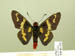  ( - HESP-EB 00-475)  @12 [ ] Copyright (2010) Ernst Brockmann Research Collection of Ernst Brockmann