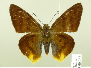  ( - HESP-EB 00 762)  @13 [ ] Copyright (2010) Ernst Brockmann Research Collection of Ernst Brockmann