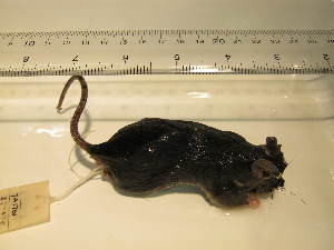  ( - USNM-DM09)  @12 [ ] Unspecified (default): All Rights Reserved  Unspecified Unspecified